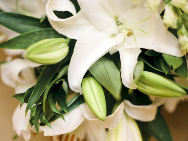 The image shows a close-up of a bouquet of white lilies with green leaves and some buds. The flowers are beautifully arranged and fresh.