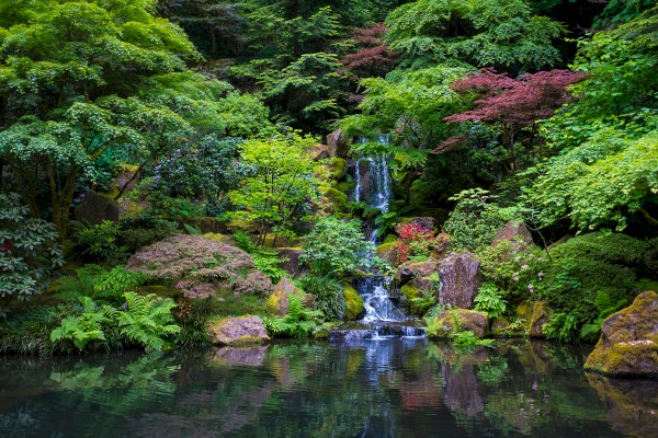 A serene garden scene with a waterfall cascading into a pond, surrounded by lush greenery and colorful foliage.