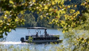 A pontoon boat glides on a lake framed by leafy branches.