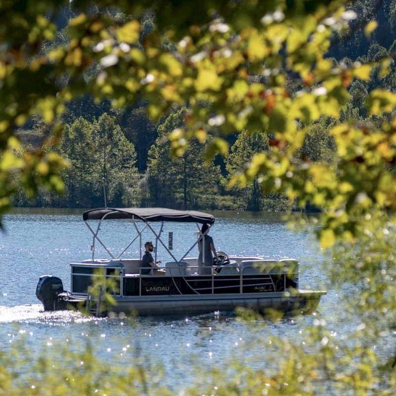 A pontoon boat glides on a lake, framed by green leaves in the foreground.