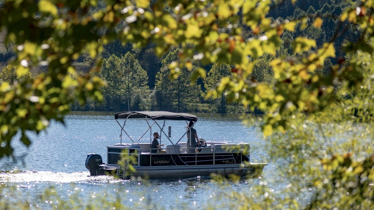 A pontoon boat with three occupants cruises on a serene lake, framed by leafy branches in the foreground and forested hills in the background.