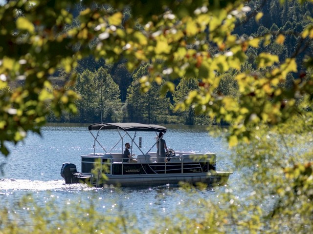 A boat with a canopy cruises on a lake, framed by green foliage in the foreground and a background of lush trees under sunlight, ending the sentence.
