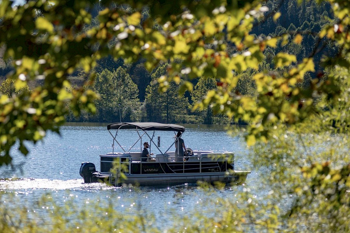 A boat is cruising on a lake, surrounded by lush greenery and trees, on a sunny day.